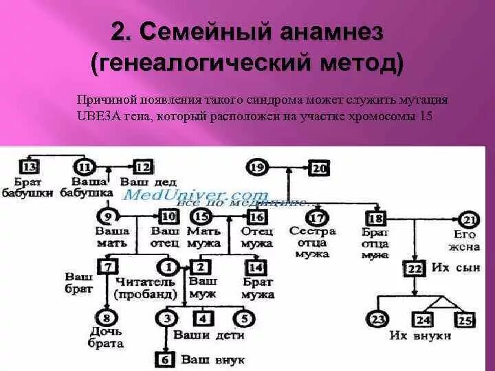 Сахарный диабет родословная