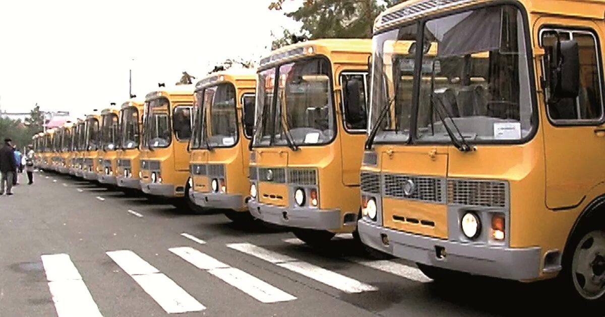 Автобус плодовое. ЛИАЗ 5256 школьный автобус. Автобусы ЛИАЗ Оренбург. Школьные автобусы в Оренбургской области. 45 Школьных автобусов.