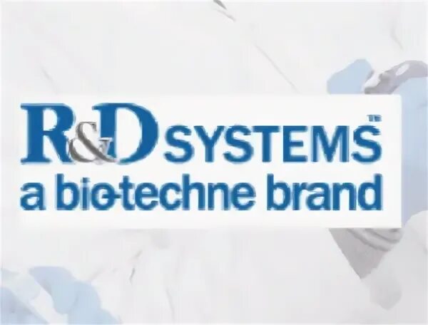 R d system. R d system
