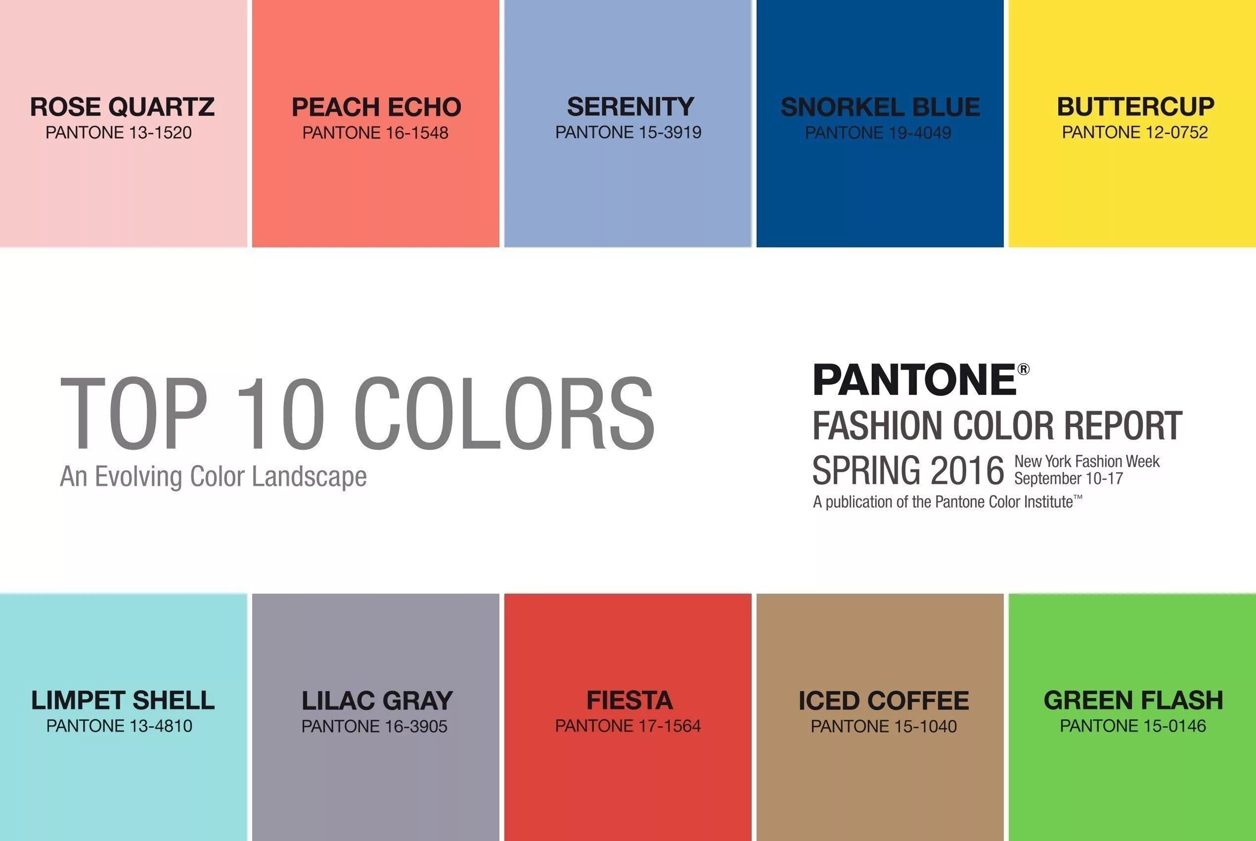 Pantone какой цвет. Институт цвета пантон. Цветовая палитра института пантон. Цвет года 2016 Pantone. Цвет года пантон 2016.