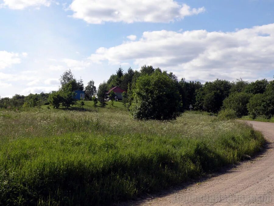 Деревня ивановское. Деревня Иваново Ивановская область. Деревня Иваново Тульская область. Купалищи Ивановская область.