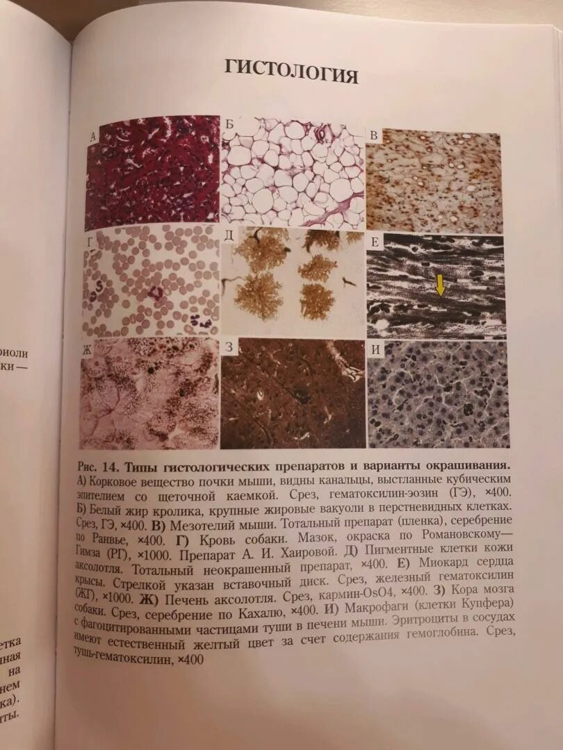 В волошина. Книжки для подготовки к олимпиаде по биологии. Практическая биология для олимпиадников книга. Практическая биология для олимпиадников книга. Волошин практическая биология.