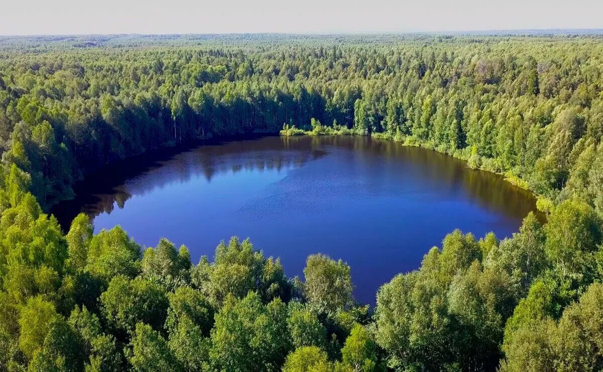 Озеро шайтан кировской. Бушковский лес Кировской области. Уржумский район Бушковский лес. Озеро шайтан Кировской области. Заказник Бушковский лес Уржумский район.