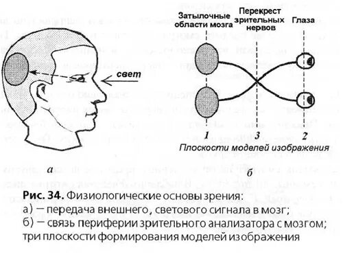 Глазные сигналы доступа схема. Типы движения глаз. Схема движения глаз по изображению. Движения глаз физиология.