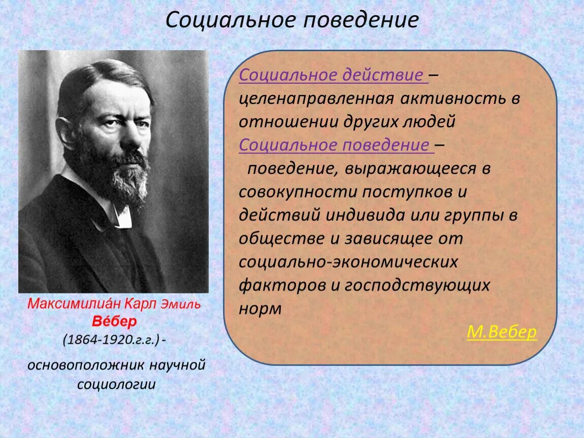 Теория общественного поведения. Социальное поведение. Понятие социального поведения. Социальное поведение личности. Социальное поведение это в обществознании.