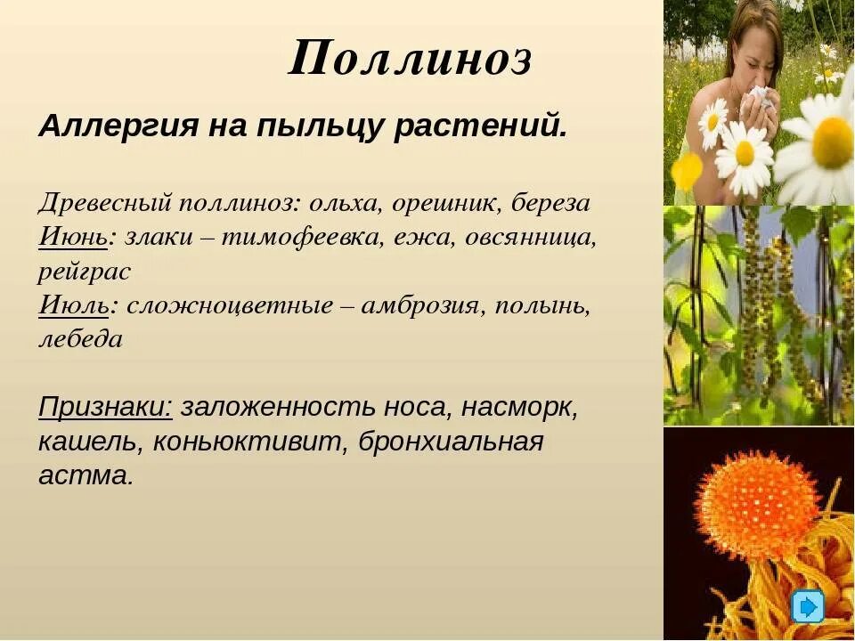 Симптомы аллергии на цветение весной у взрослых
