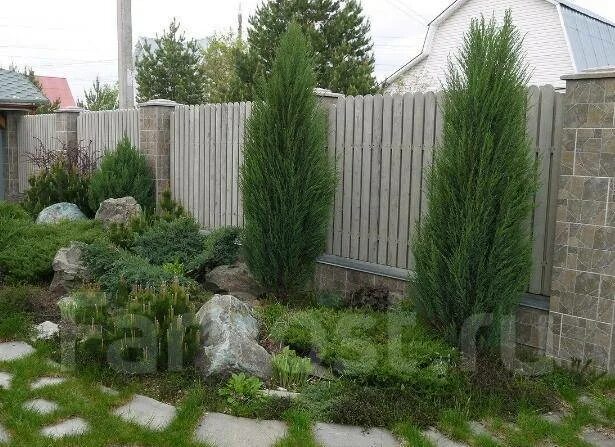 Landscape Edging. Good idea for the backyard along the wall Landscaping along fe