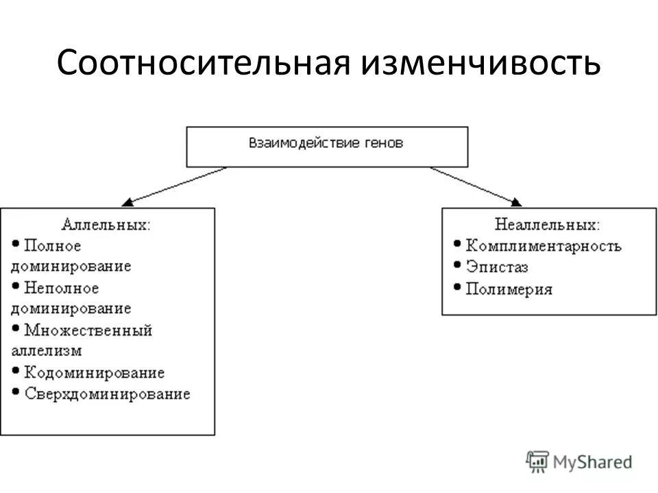 Множественное доминирование