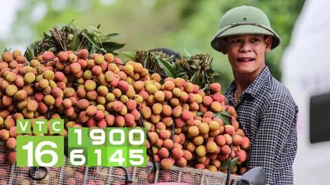 Там растут фрукты