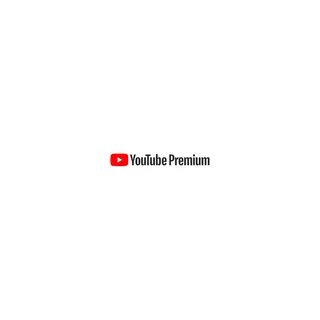 Youtube premium downloads