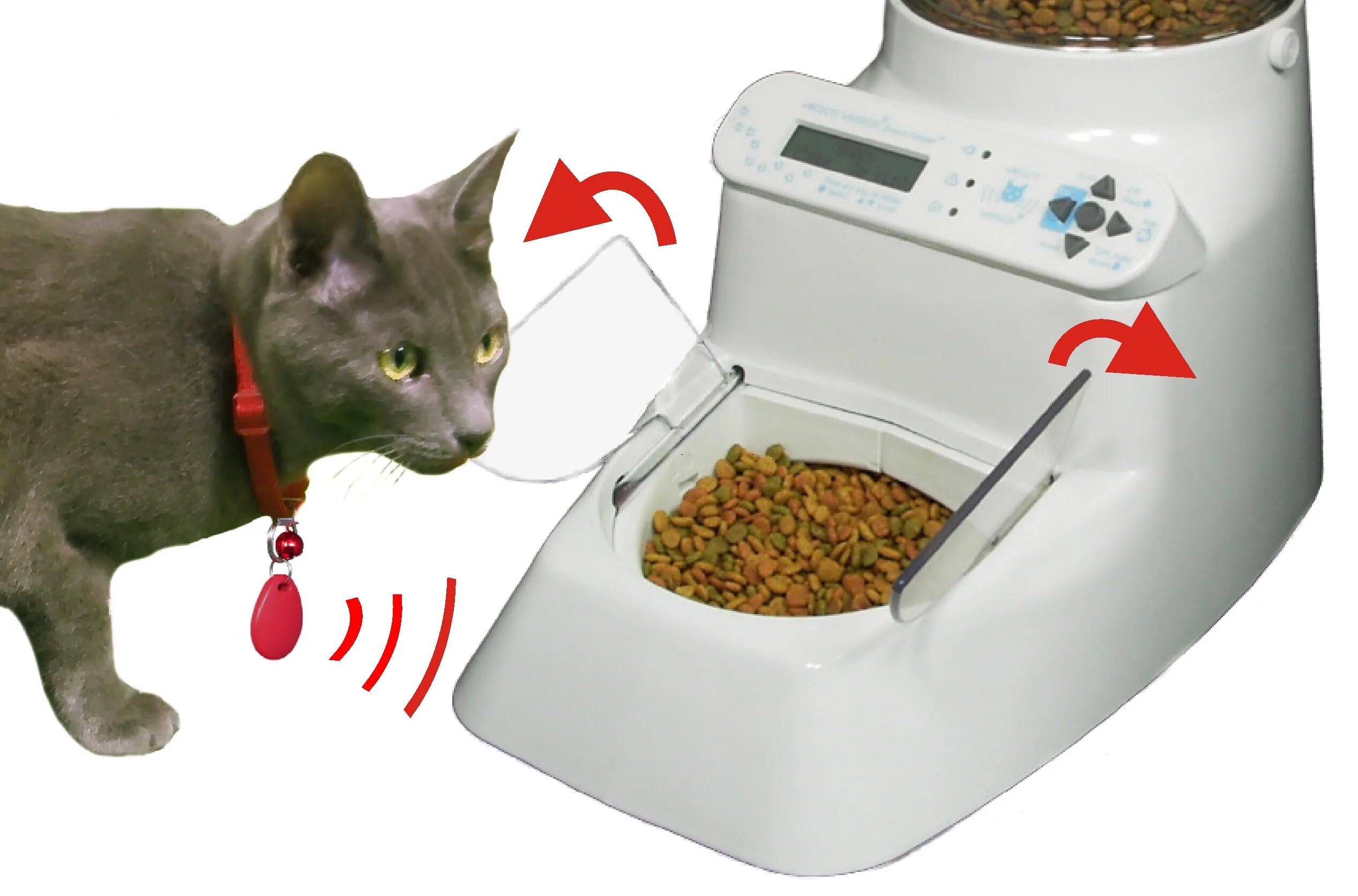 Корма для кошек операция. Кормушка Automatic Pet Feeder. Automatic Pet Feeder автокормушка. Автопоилка для кошек Automatic Pet Feeder. Автоматическая кормушка Elf Automatic Pet Feeder.