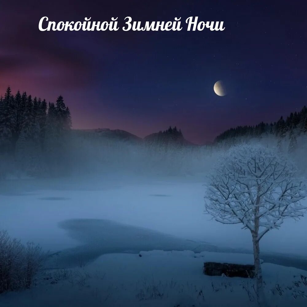 Спокойной ночи красивая зимняя ночь. Спокойной зимней ночи. Спокойной ночи зима. Спокойной ночи зимой. Спокойнойночки зимней.