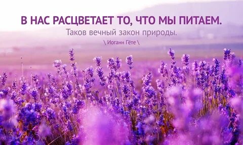 Вечный закон жизни