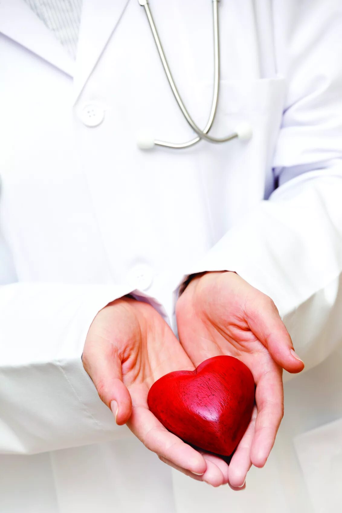Предложить сердце. Сердце в руках. Сердечно-сосудистые заболевания. Сердце медицина.
