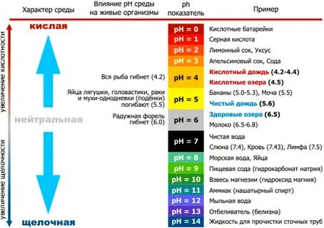 asup ph6 gazprom ru