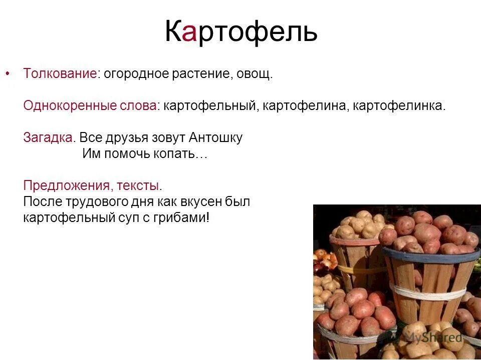 слово картофель подобрать и прилагательное. предложение картофеля. словарное слово картофель в картинках. дикси картофель по деревенски. краткое сообщение про картошку.