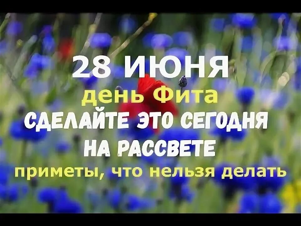 28 июня народный календарь. День фита 28 июня. День фита 28 июня картинки с надписями. Народный праздник день фита. День фита 28 июня картинки с надписями.