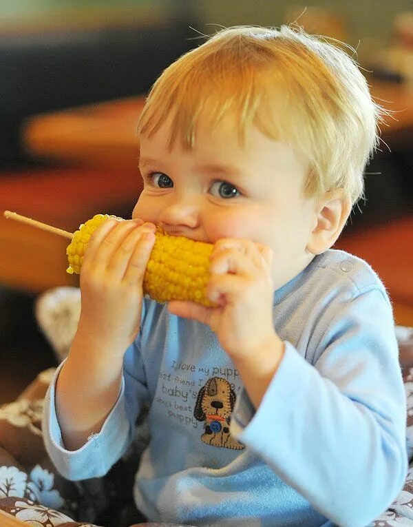 Дети кукурузы. Ребенок ест кукурузу. Привереда в еде. Детское питание кукуруза. Corn kidz
