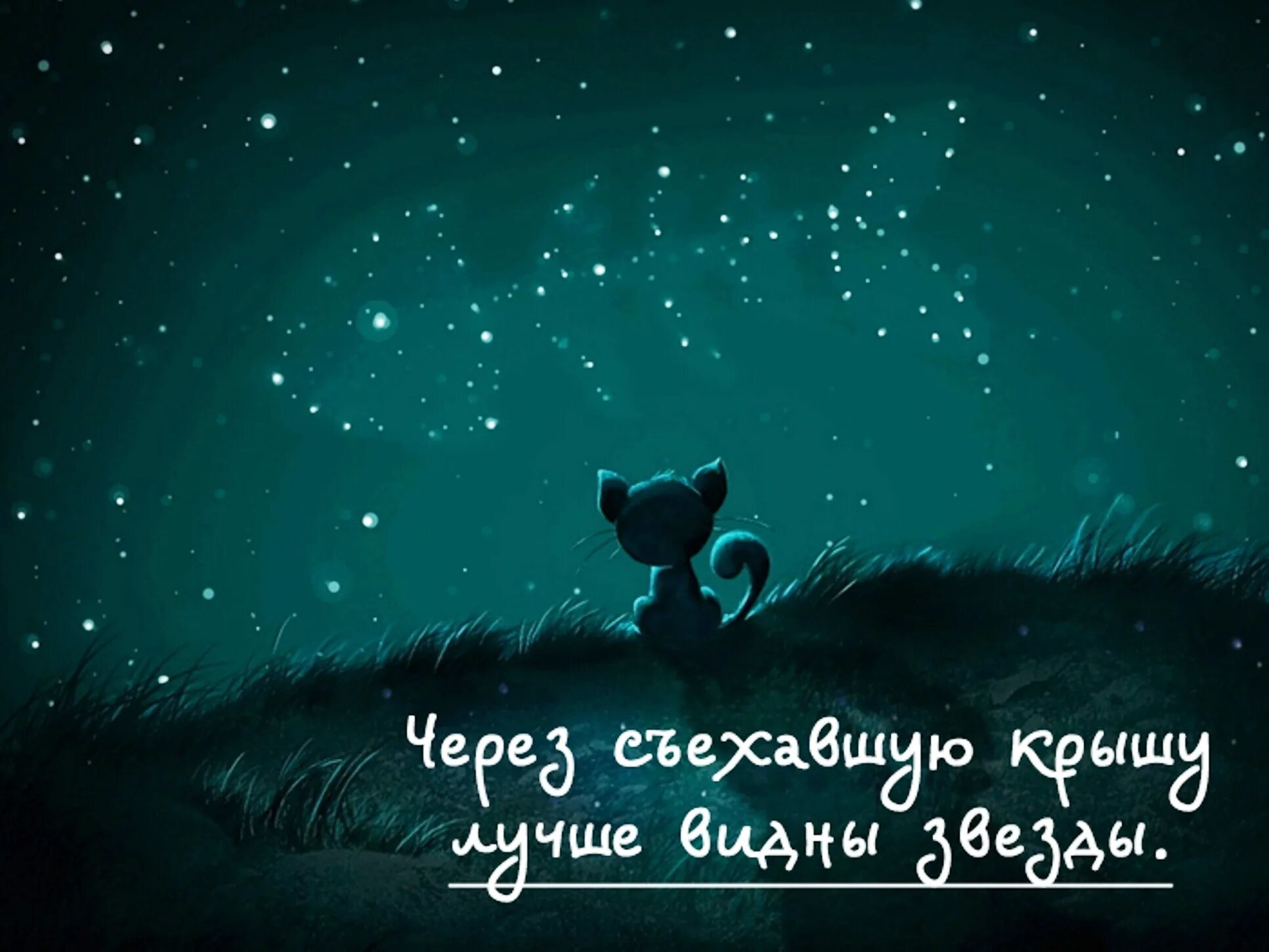 Статусы про звезды. Фразы про звезды. Статусы про звезды. Высказывания о звездах. Высказывания о звездах.