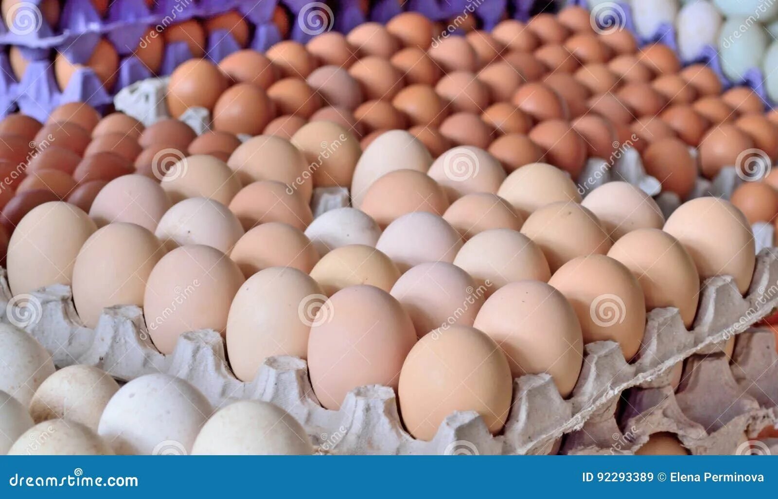 Сонник много куриных. Яйцо куриное. Куриные яйца в рынке. Яйцо домашнее куриное. Склад яиц.