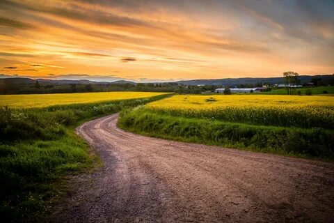 Country l