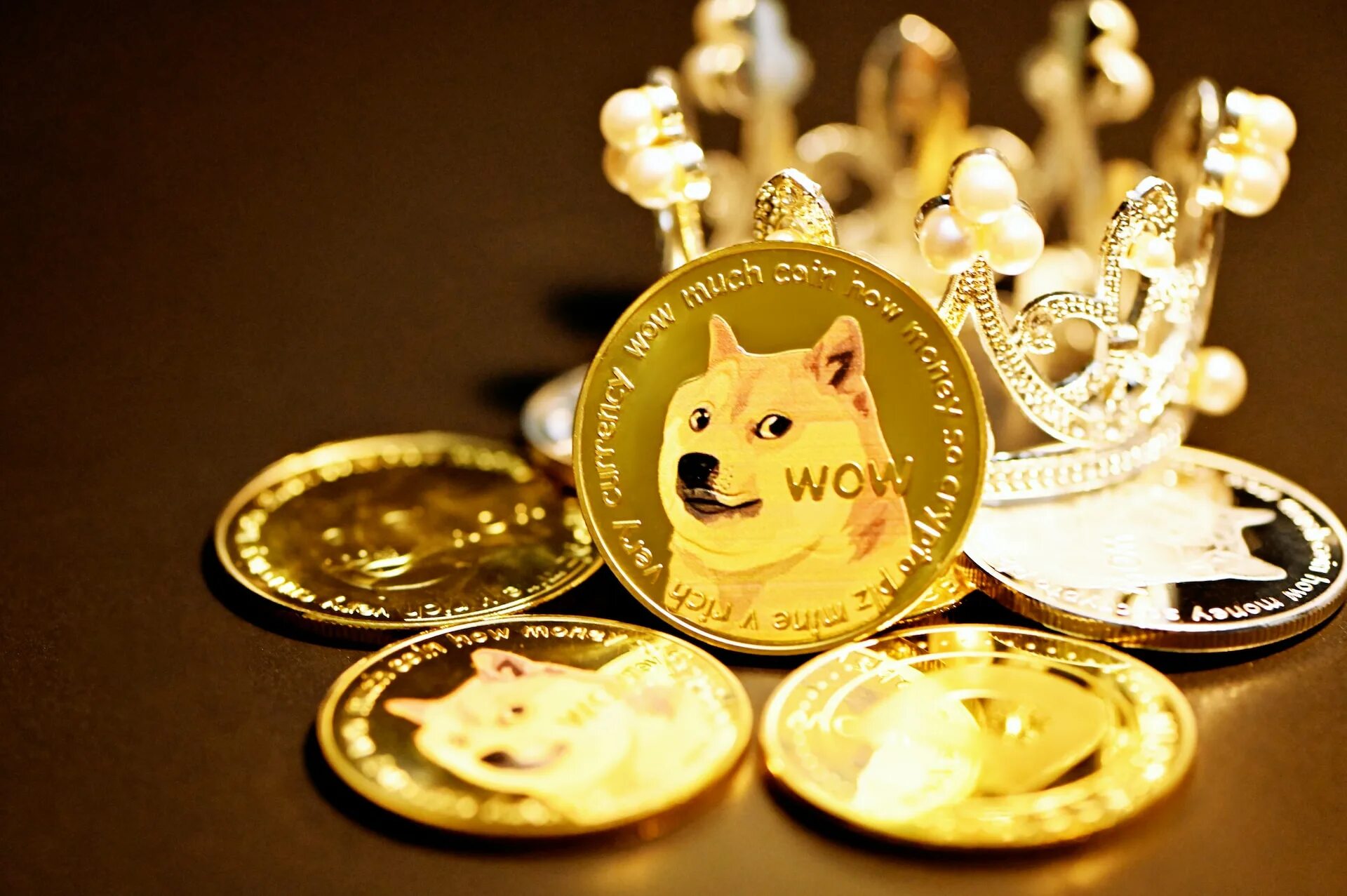 Монета meme. Dogecoin Shiba Inu. Dogecoin картинки. Сооснователь Dogecoin. Doge и shib Coins.