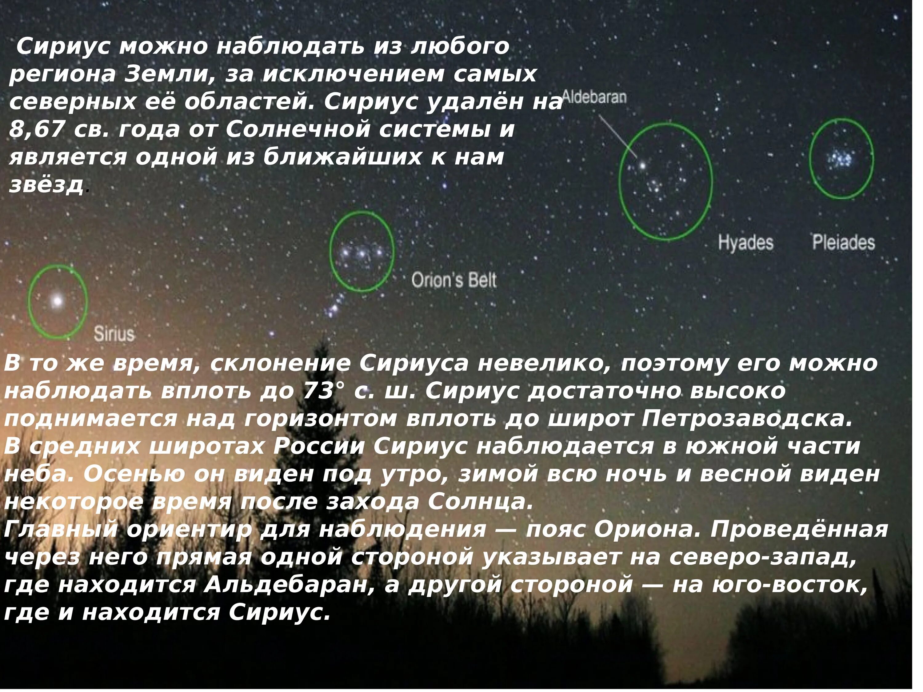 По какой программе идут звезды. Сириус Альфа большого пса. Доклад о звезде Сириус. Сириус интересные факты. Звезда Сириус интересные факты.