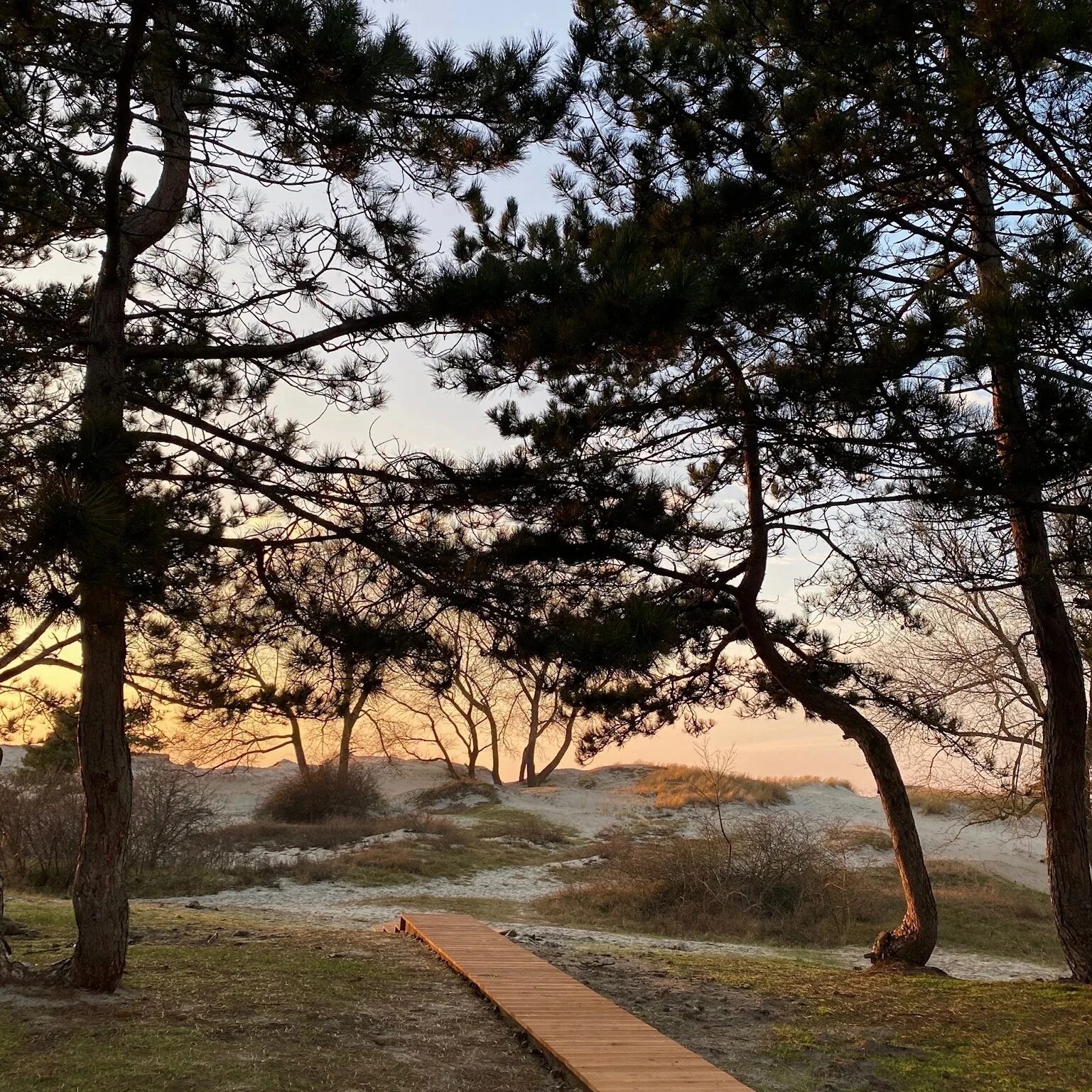 Глэмпинг на кольском. Викингуд глэмпинг. Викингуд глэмпинг. Глэмпинг на балтийской косе. Викингуд глэмпинг.