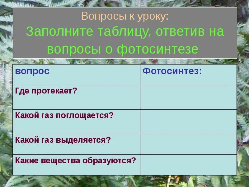 Где протекает фотосинтез. Фотосинтез протекает в. Фотосинтез таблица 6 класс. Процесс фотосинтеза протекает. Где происходит фотосинтез и дыхание таблица