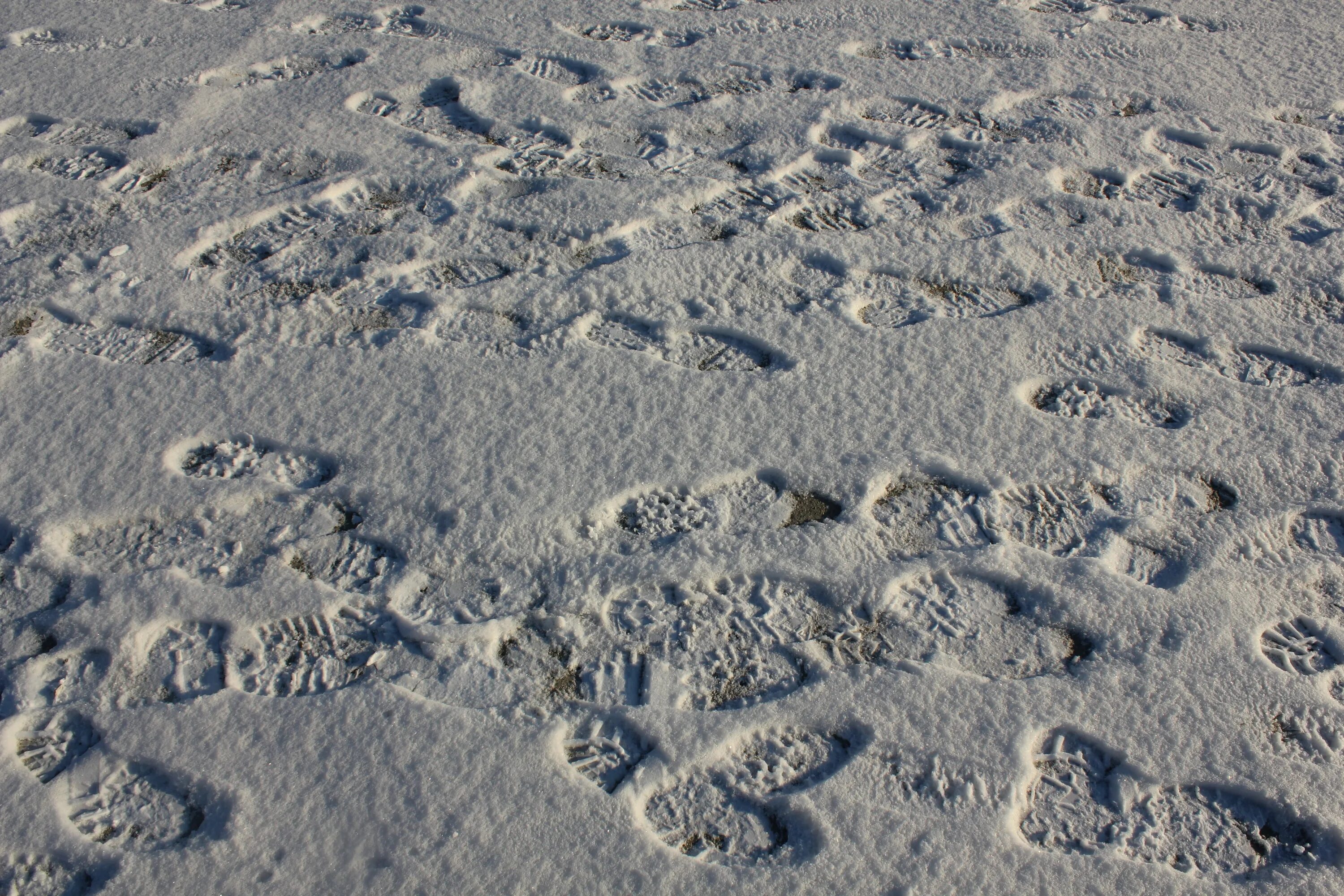 Дорожка следов сколько следов. Следы. Следы на снегу. Дорожка следов. Следы обуви на песке.