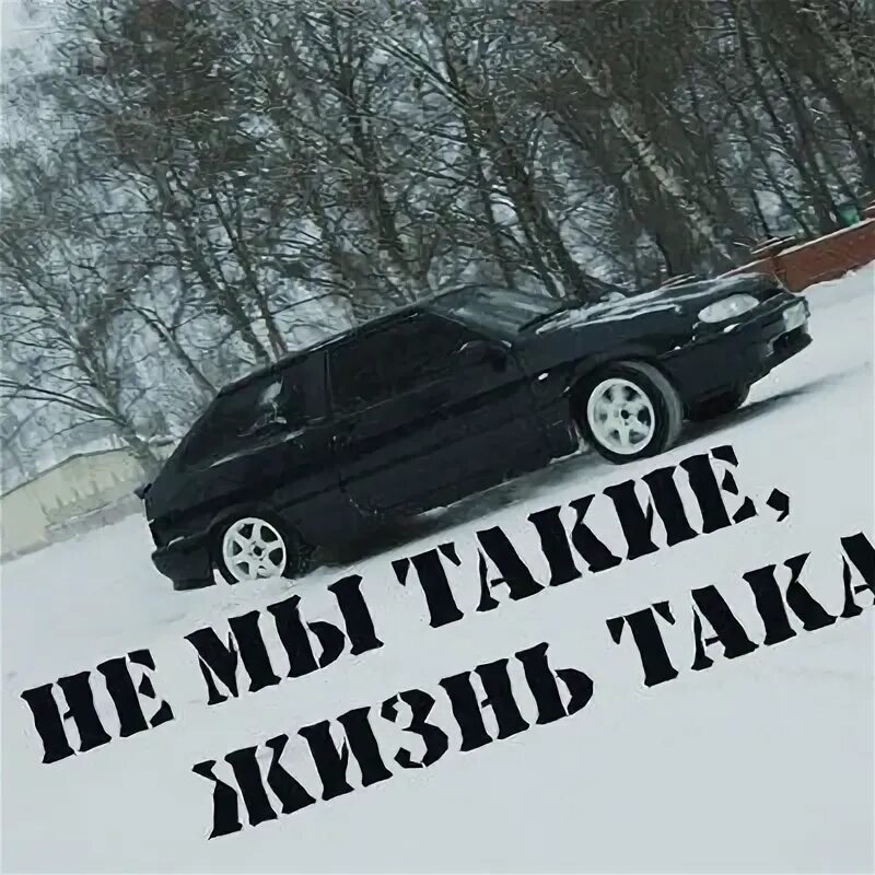 Не вы такие жизнь такая. Не вы такие жизнь такая