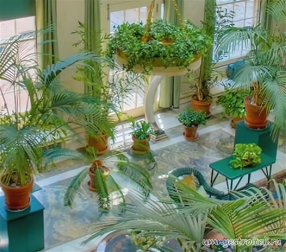 Проект зимний сад в детском саду. Оранжерея партенит. Проект зимний сад в детском саду. Озеленение зимнего сада. Зимний сад в школе.