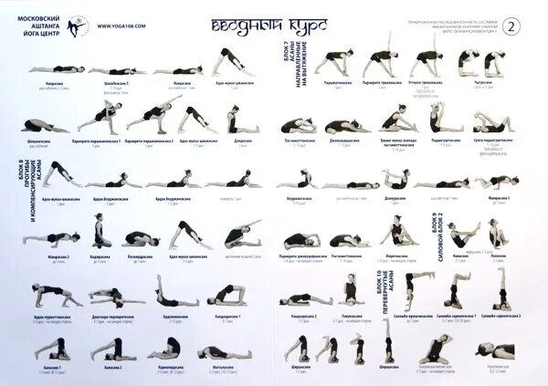 Хатха-йога комплекс асан. Последовательность асан в хатха йоге для начинающих. Хатха йога комплекс для начинающих. Сукшма-вьяяма упражнения для начинающих. Названный позировавший