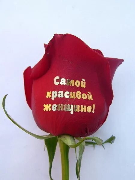 Самые красивые стихи. Сказать женщине ты самая. Стихи для самой лучшей женщины на свете. Самой лучшей девушке на свете. Красивые цветы для любимой девушки.