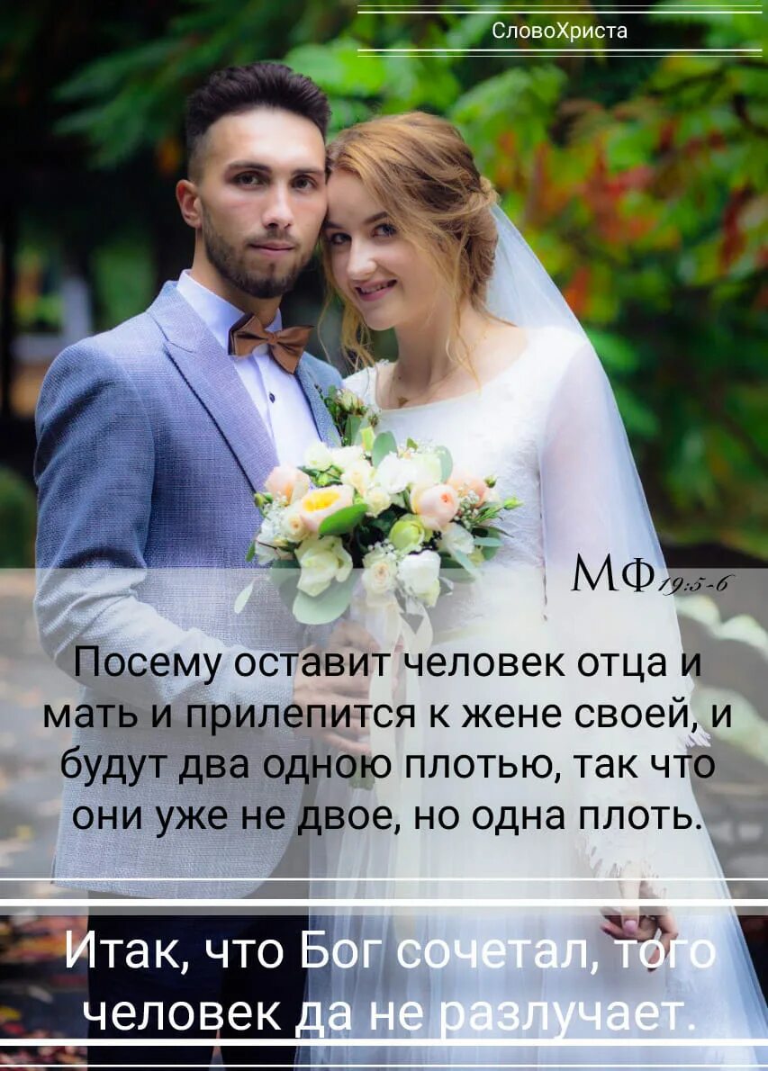 Что бог сочетал того человек не разлучает. Что бог сочетал того человек да не разлучает. оставит человек отца своего и мать свою и прилепится к жене своей. что бог сочетал того человек. кого бог сочетал да человек не разлучит.