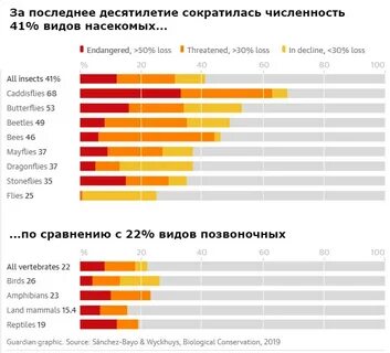 Численность насекомых