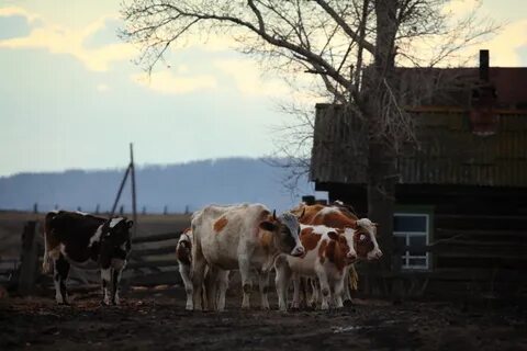 Харат иркутская область погода