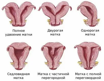 Порно комикс жігіттері