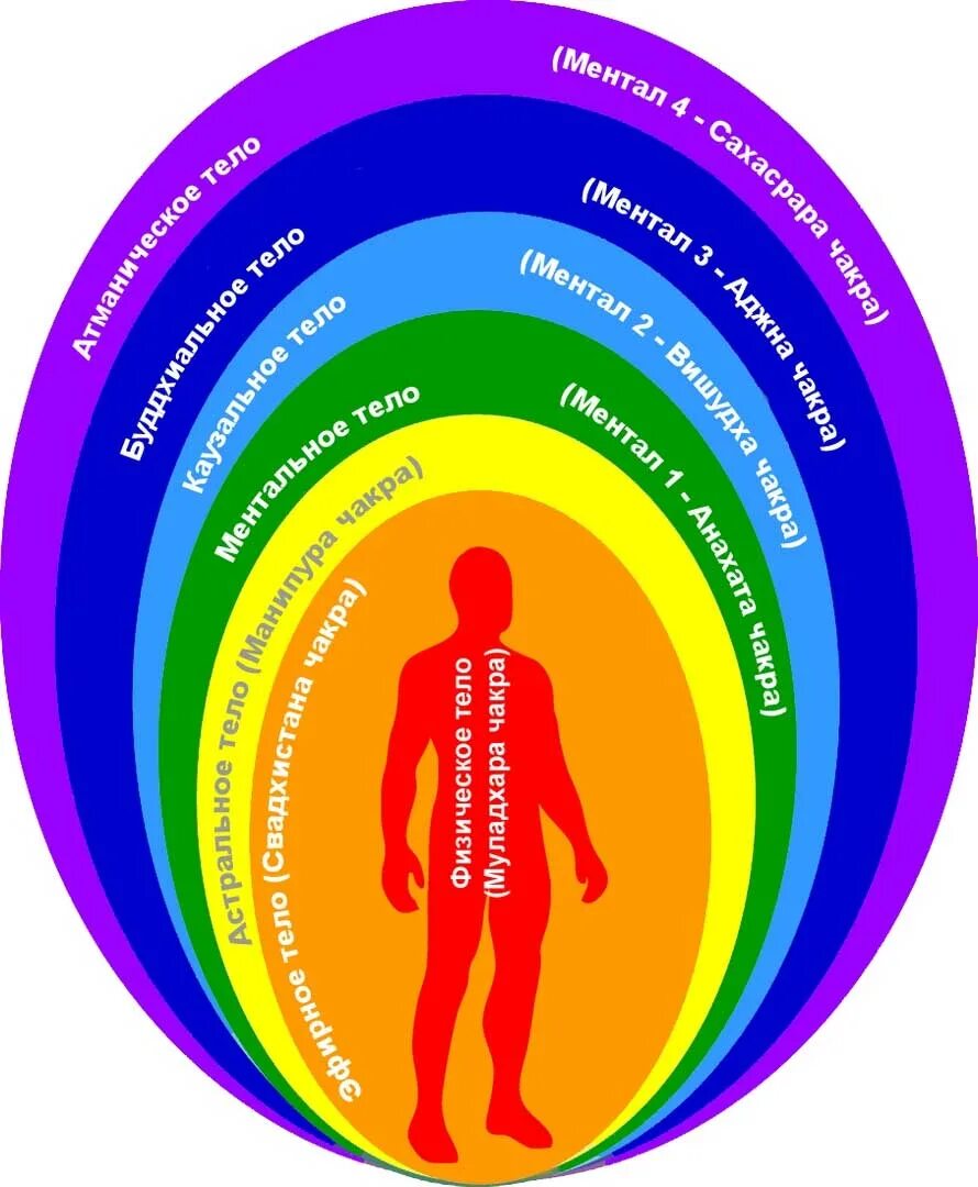 Аура человека что это. Чакры эфирного тела чакры эфирного тела. Астральное тело человека астральное тело человека. Аура человека астральное тело. Тонкие тела человека.