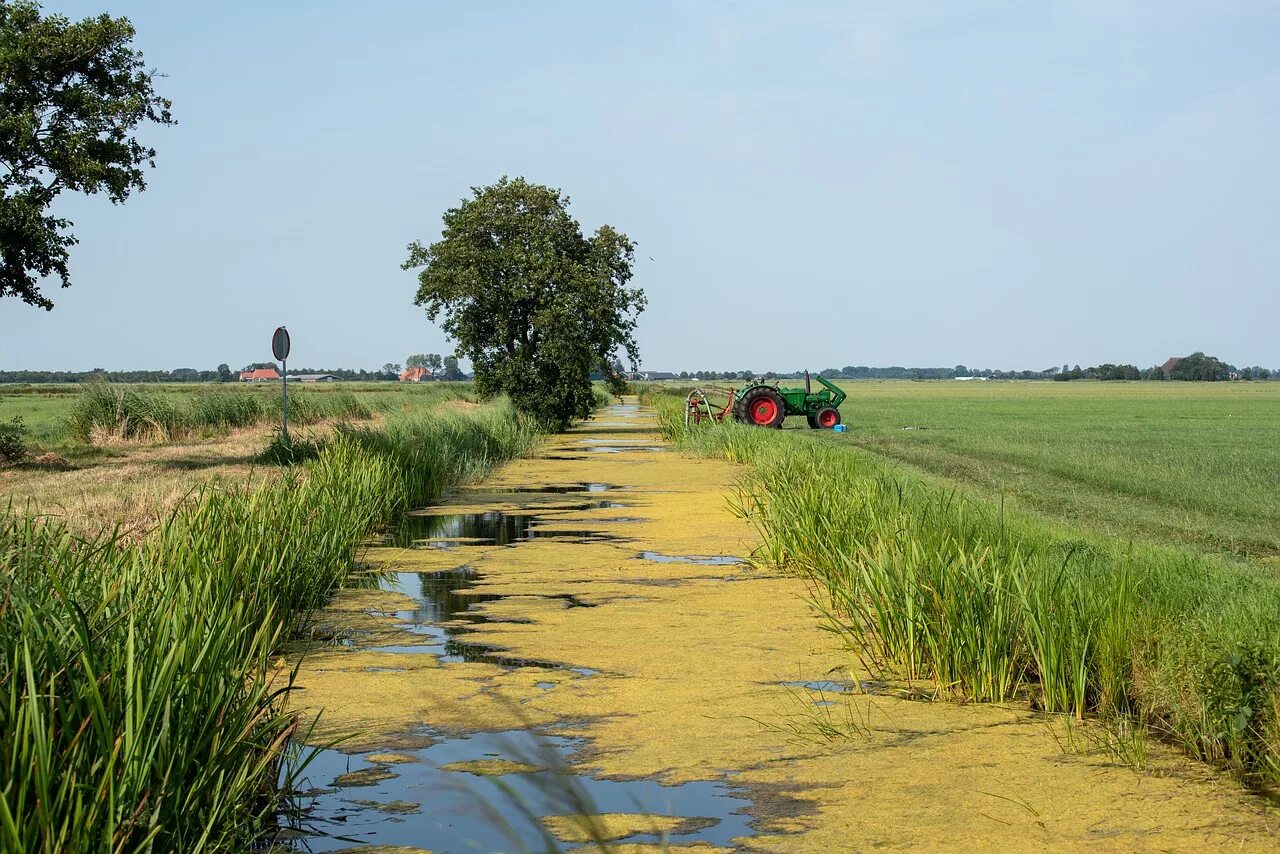 Трактор вода. Полив полей тракторами. Трактор вода. Трактор по воде. Мтз 82 на бездорожье.
