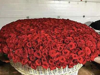 Скопировать 1001 розу