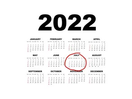 2022 год белого