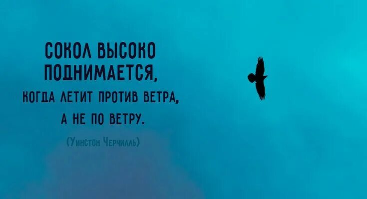 Полететь против течения ничего не говори