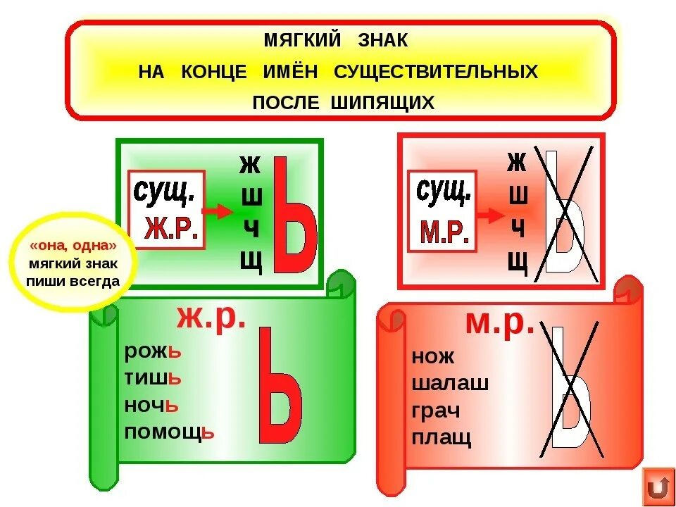 6 ь после шипящих