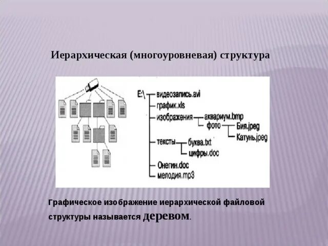 Информатика 7 класс файлы и файловые структуры. Файловые структуры 7 класс Информатика. Файлы и файловые структуры 7 класс босова. Графическое изображение файловой структуры. Файловые структуры информатика 7 класс