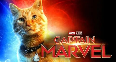 在(Marvel 隊 長)的 宣 傳 海 報 中 擁 有 自 己 專 屬 版 本 的 Goose 貓.以 Marvel 隊 長 寵 物 的... 