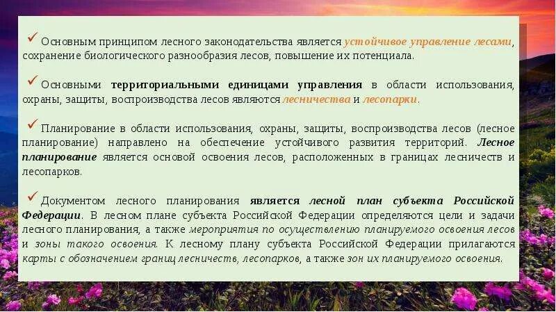 Лесное законодательство рф. Принципы лесного законодательства. Управление в области использования и охраны лесов. Принципы управления лесами. Управление леса законодательство.