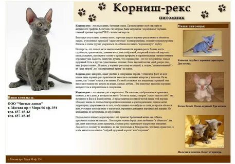 Котенок сфинкс сколько кормить