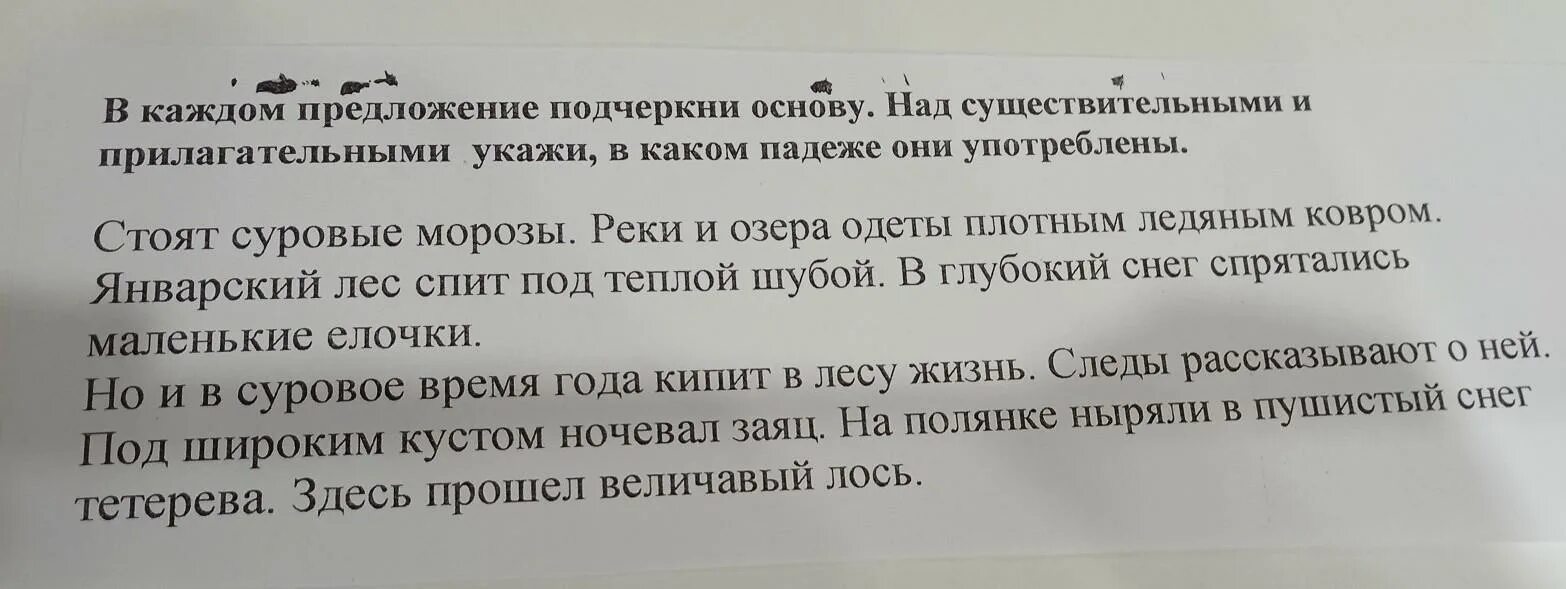 Спиши предложения подчеркни основы. В каждом предложении подчеркни основу. Подчеркнуть основу в каждом предложении. В каждом предложении подчеркни основу над существительным укажи. В каждом предложении подчеркни основу и определи падеж.