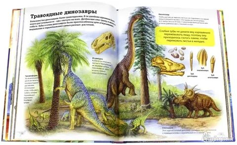 Прочитайте отрывок из энциклопедии о динозаврах